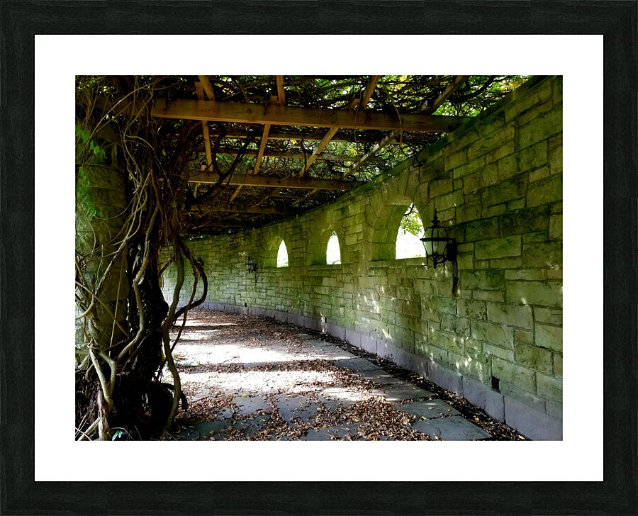 Mt Assisi Garden 1 Picture Frame print