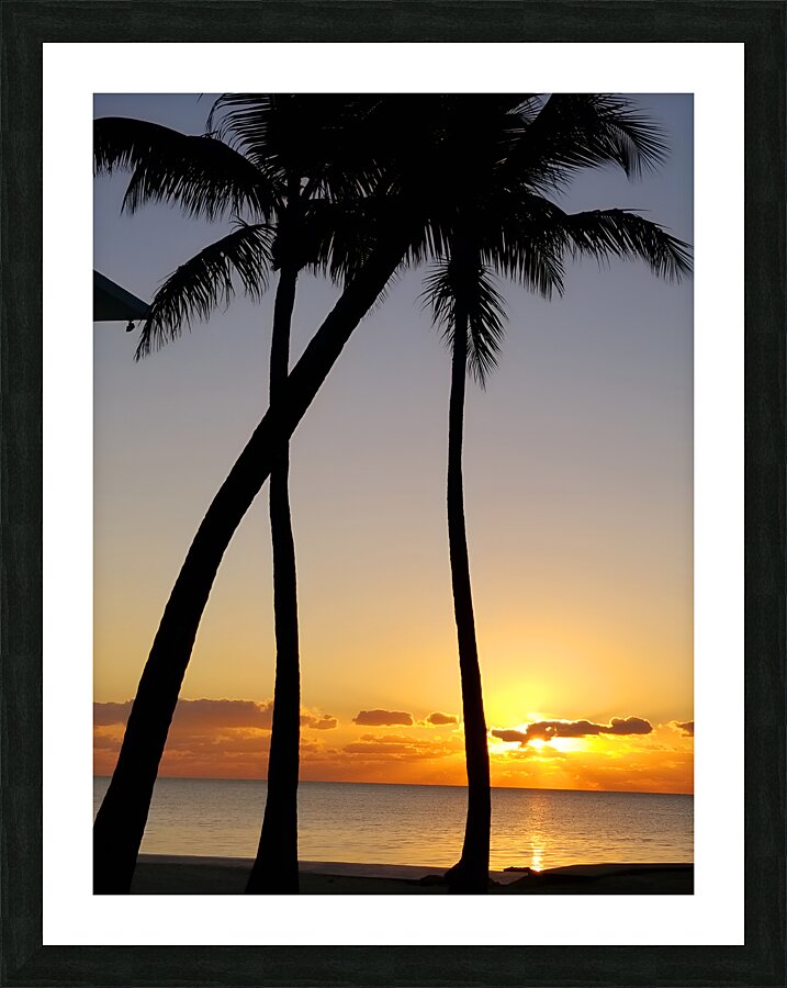 Florida Keys Sunrise & Palms 1 Picture Frame print