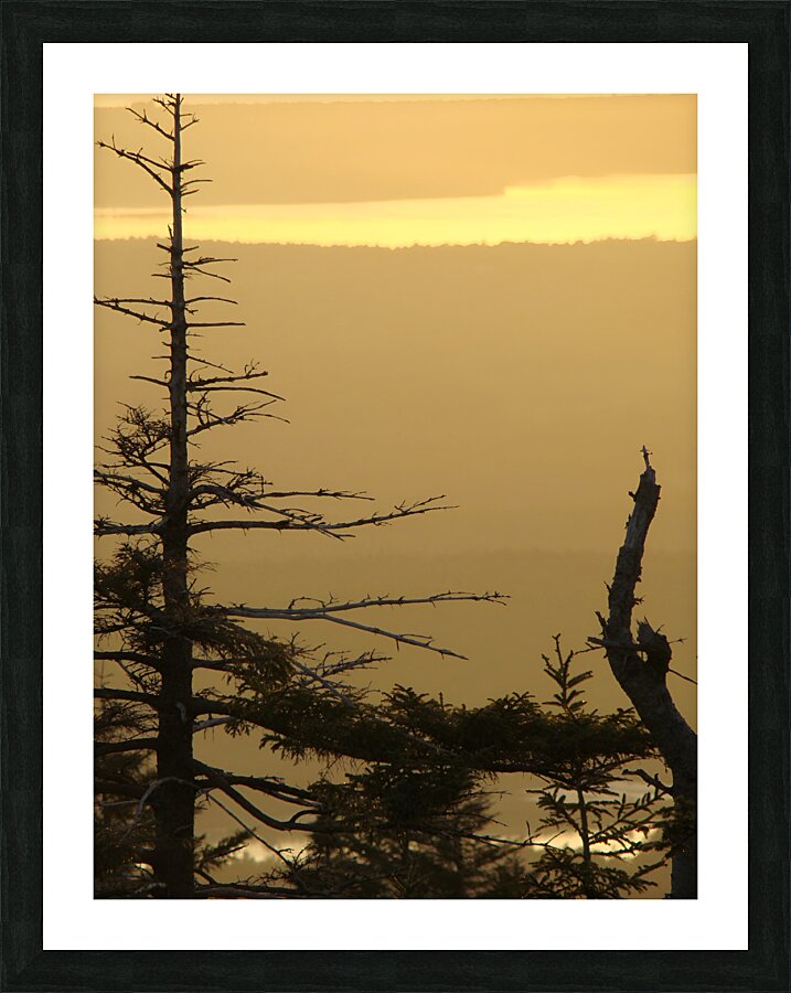 Golden Sunrise Picture Frame print