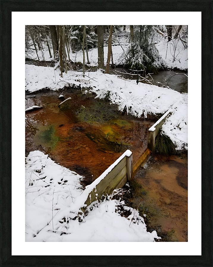 Reitz  2 Lower AMD Picture Frame print