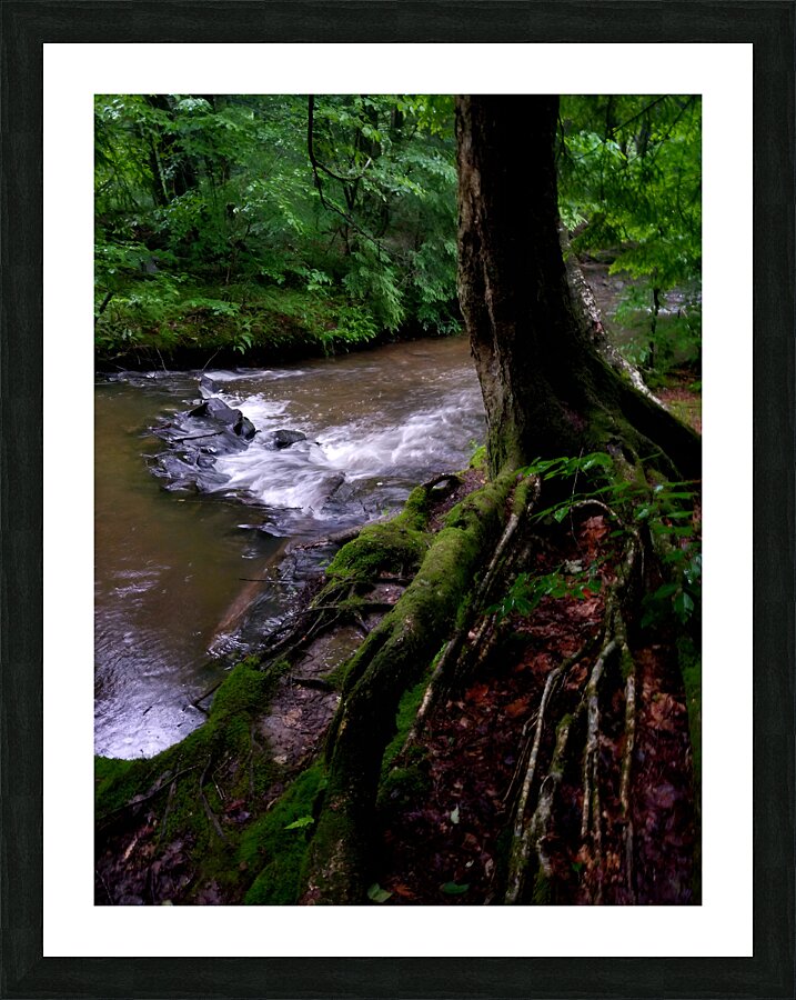 Minister Creek Riffle 1 Picture Frame print