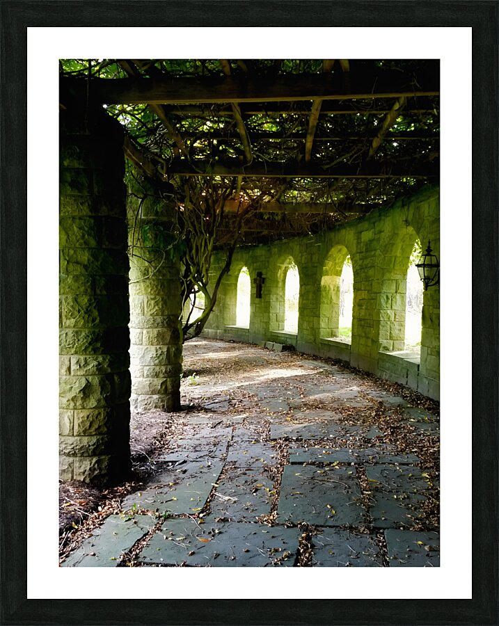 Mt Assisi Garden 3 Picture Frame print