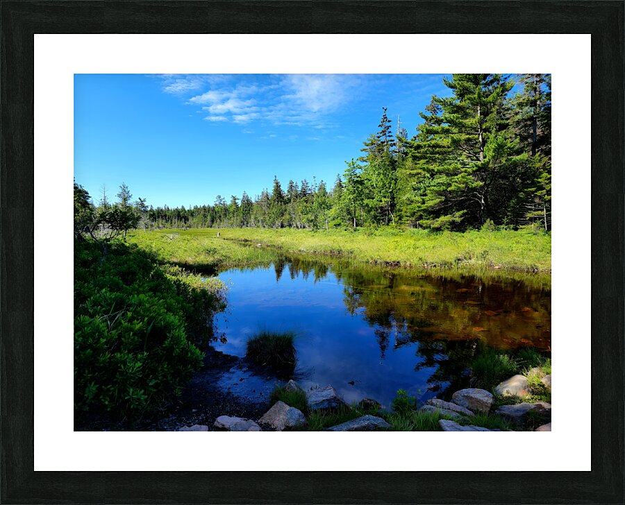 Acadia Wetland Picture Frame print