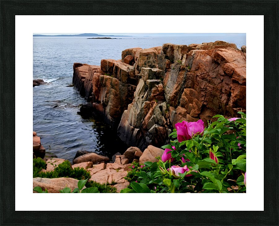 Acadia Coast Picture Frame print