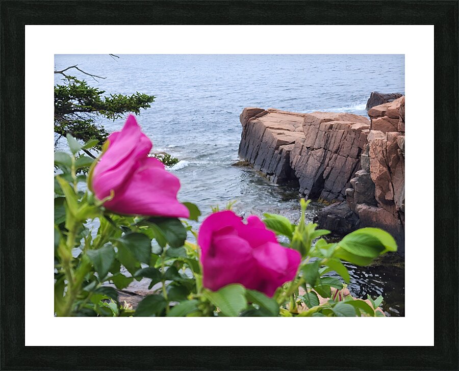 Acadia Point Picture Frame print