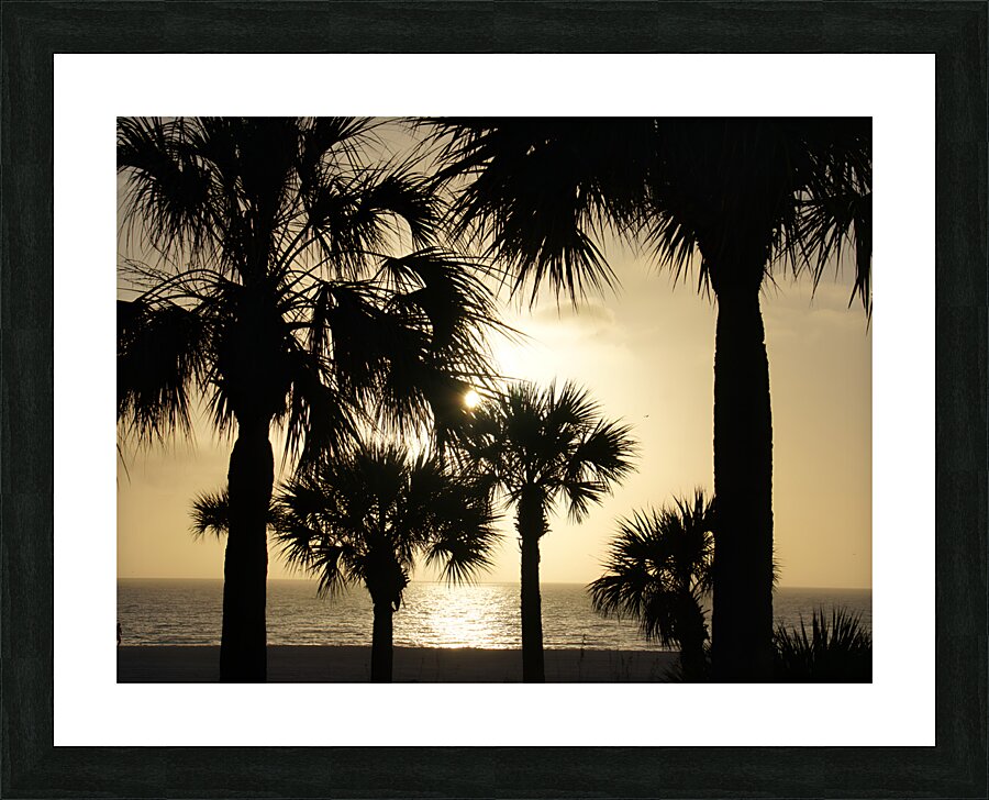 Palm Trees Silhouette Picture Frame print