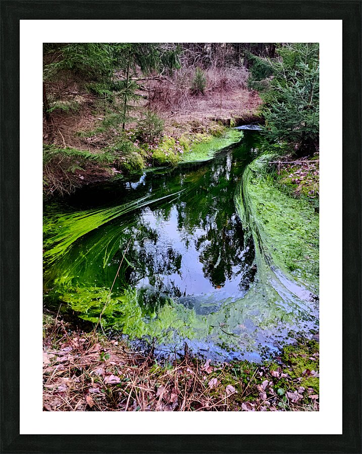 Reitz  2 AMD Picture Frame print