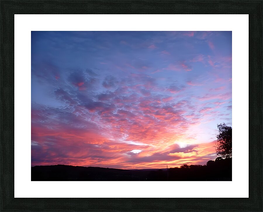 Pink In The Morning Picture Frame print