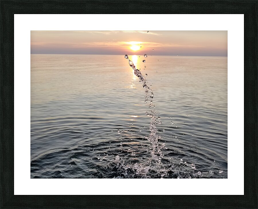 4th Of July Splash  Picture Frame print