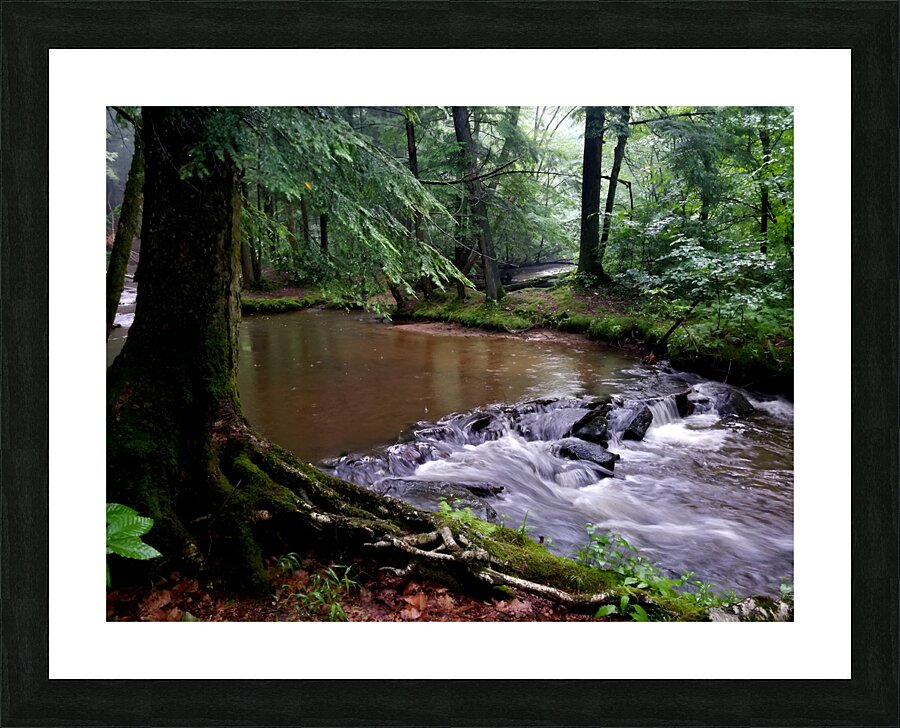 Hemlock Stream Picture Frame print