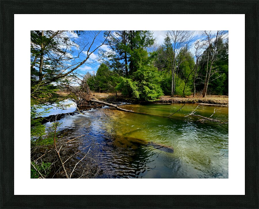 Spring At Clear Shade Creek Picture Frame print