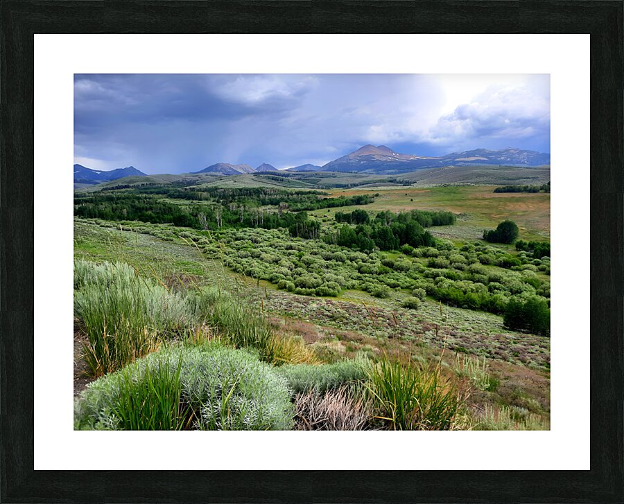Sierra Nevada Picture Frame print