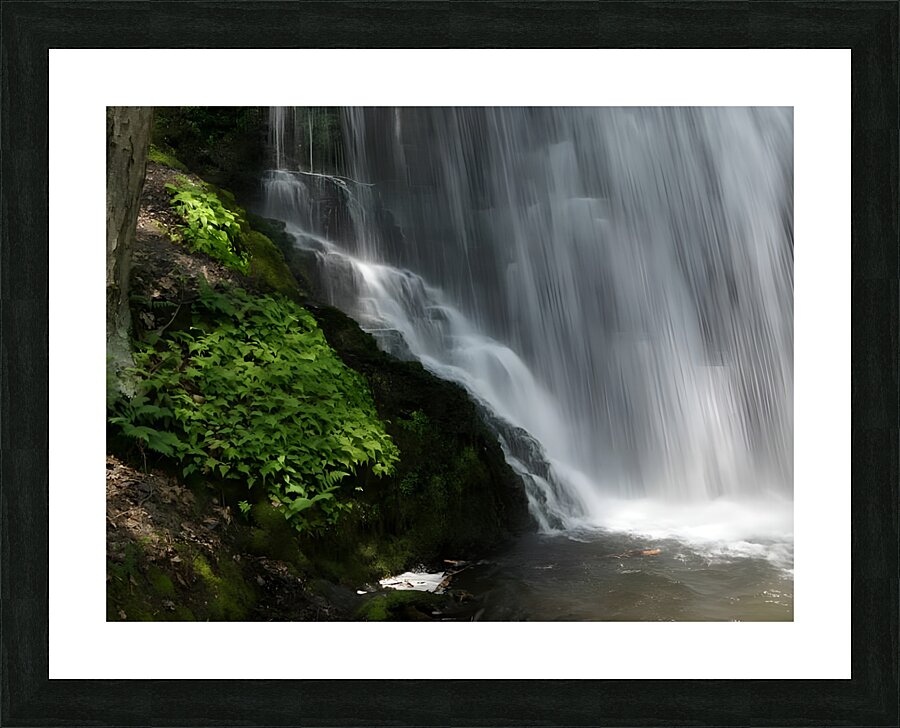Bushkill Falls Picture Frame print