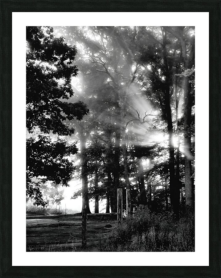 Misty Morning Rays Picture Frame print