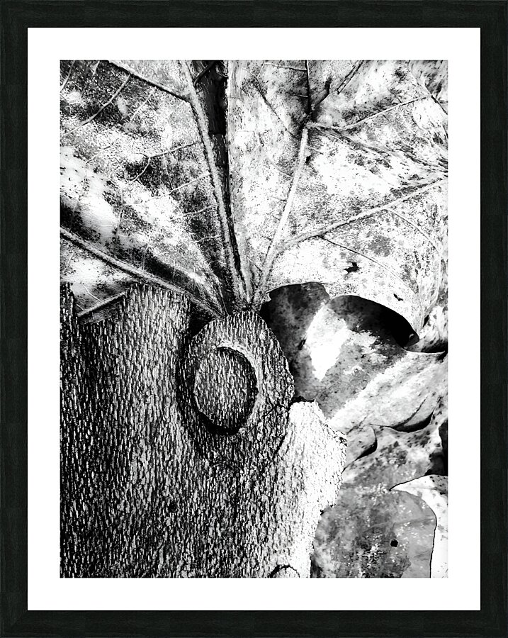 Botanical Shapes Picture Frame print