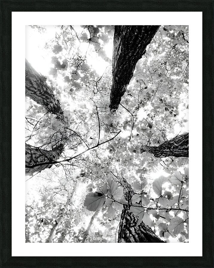 Forest Squad Picture Frame print