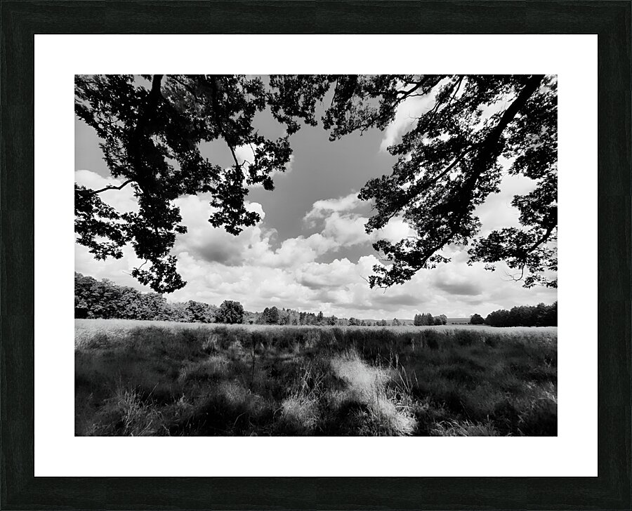 Meadow Picture Frame print