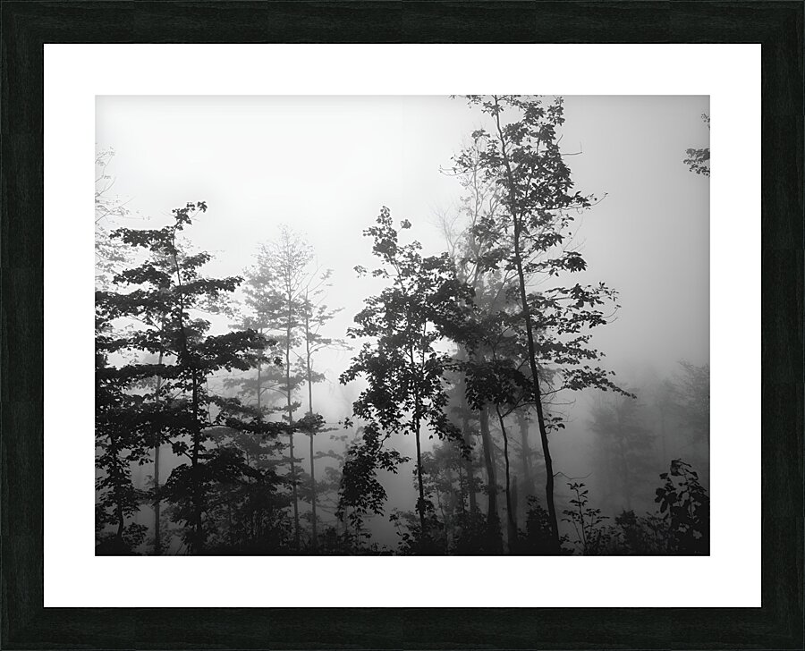 Misty Morning Picture Frame print