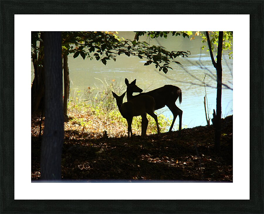 Lake Deer Picture Frame print