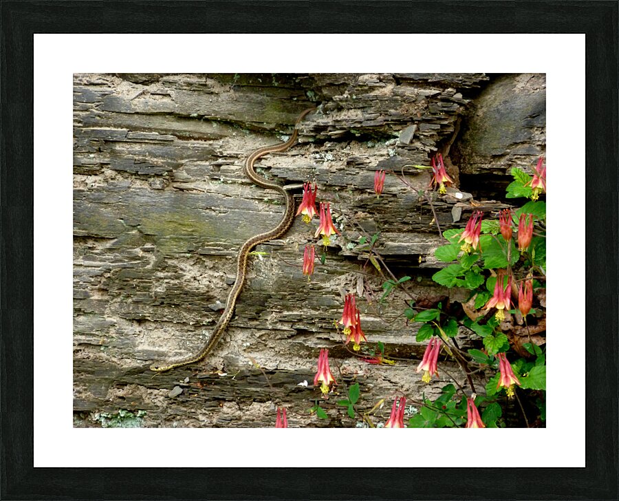 Beauty And Beast Picture Frame print