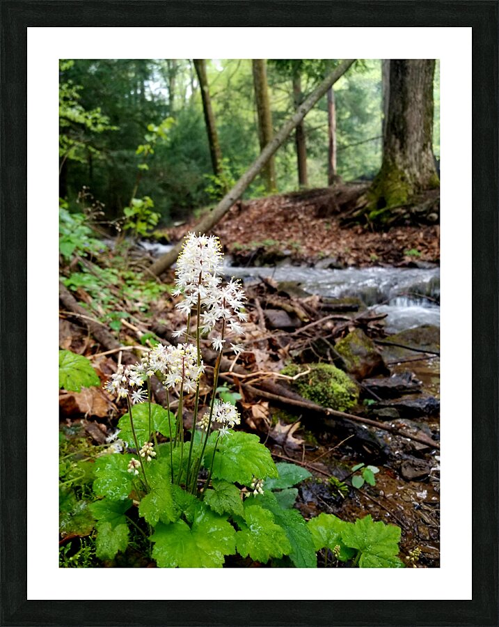 Foamflower Streamside Picture Frame print