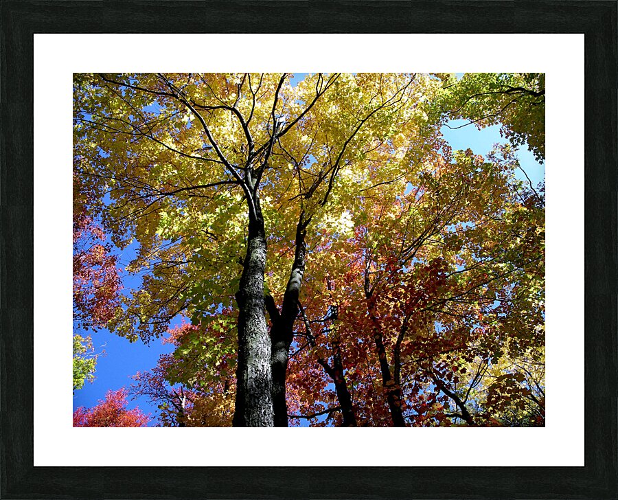 Golden Tree Horizontal Picture Frame print