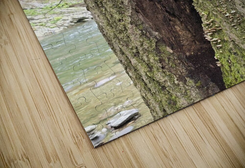 Faces Of The Smokies 2 Earthshine Emporium puzzle