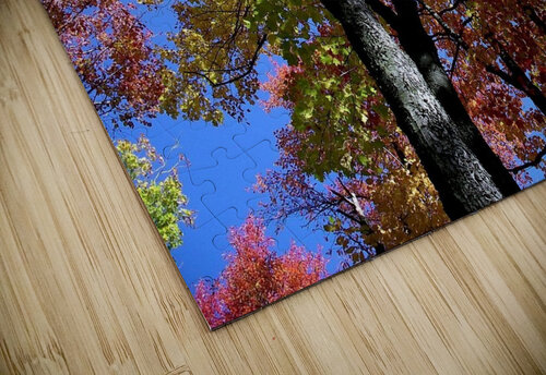 Golden Tree Earthshine Emporium puzzle