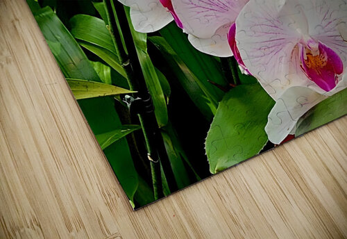 Orchid Cluster Earthshine Emporium puzzle