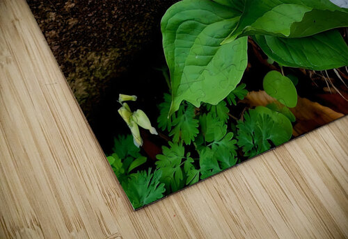 Trillium Duo Earthshine Emporium puzzle