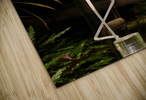 Ghostly Aliens Earthshine Emporium puzzle