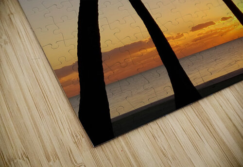 Florida Keys Sunrise & Palms 1 Earthshine Emporium puzzle