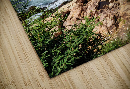 Coastal Maine Earthshine Emporium puzzle