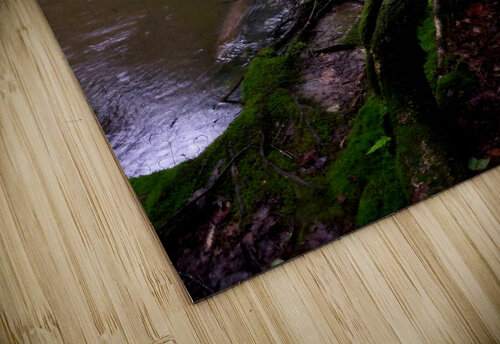 Minister Creek Riffle 1 Earthshine Emporium puzzle