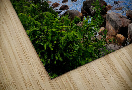 Acadia Landscape Earthshine Emporium puzzle