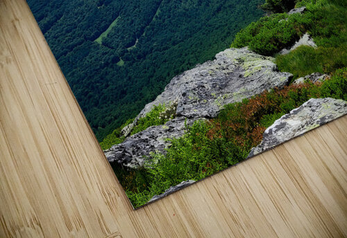 White Mountains 2 Earthshine Emporium puzzle