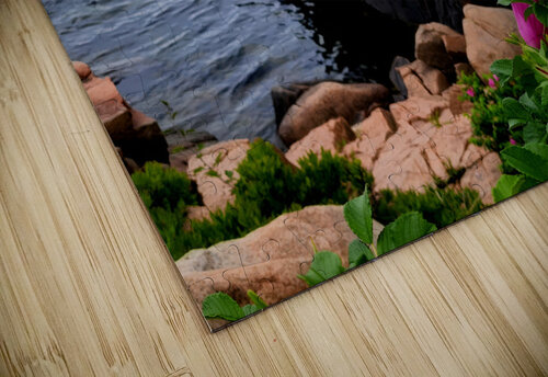 Acadia Coast Earthshine Emporium puzzle