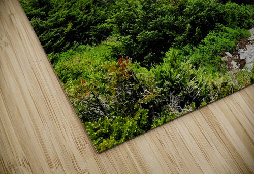 White Mountains Earthshine Emporium puzzle