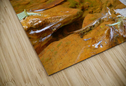 Carnahan Run Earthshine Emporium puzzle