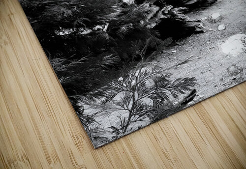 Sequoia Root Wad Earthshine Emporium puzzle