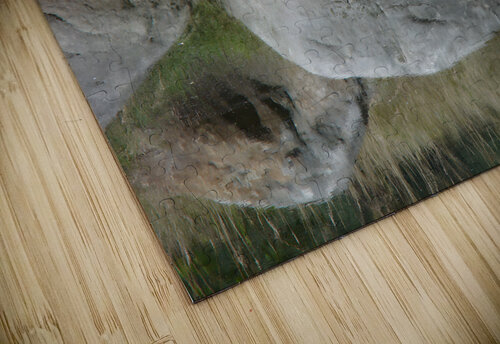 Rock Smile Earthshine Emporium puzzle