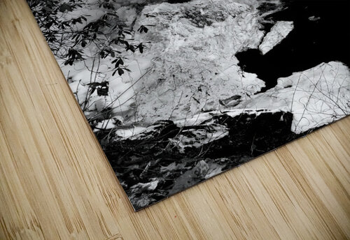 Cucumber Falls Earthshine Emporium puzzle