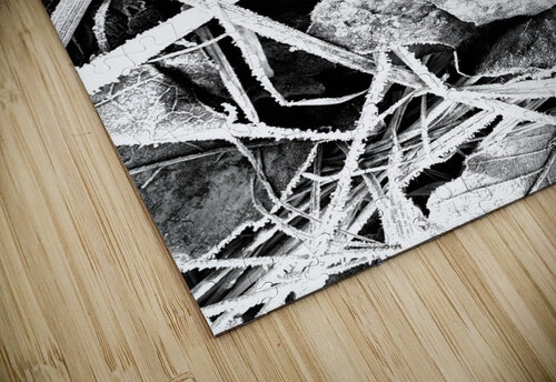 Frosty Oak Leaf Earthshine Emporium puzzle