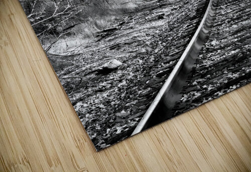 Railroad Earthshine Emporium puzzle