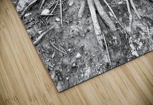 Root Flare Earthshine Emporium puzzle