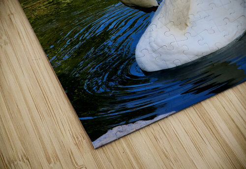 Swan 3 Earthshine Emporium puzzle