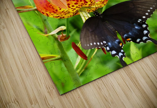 Black Swallowtail On Turks Cap Earthshine Emporium puzzle