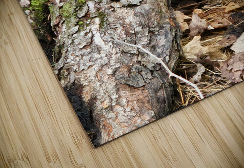 Racoon Kit Earthshine Emporium puzzle