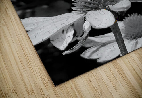 Monarch Highlight Earthshine Emporium puzzle