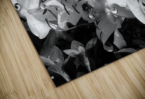 Lilies Earthshine Emporium puzzle